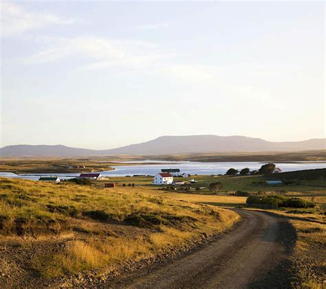 East Falkland Travel Falkland Islands Islas Malvinas Lonely Planet