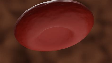 3d Red Blood Cell Model Turbosquid 1672074