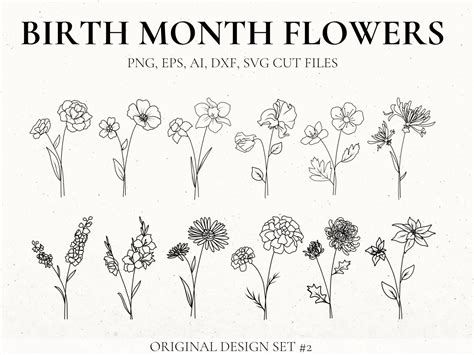 Detailed Birth Flowers Set 2 By Rebecca Wasserberg On Dribbble