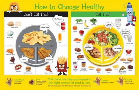 Healthy Eating Planlose Weight Fast ~ Tips24hours