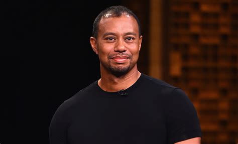 tiger woods had five drugs in his system at time of dui arrest tiger woods just jared