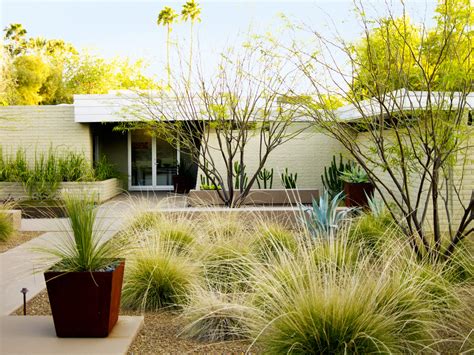Desert Landscaping Ideas From A Phoenix Front Yard Sunset Magazine