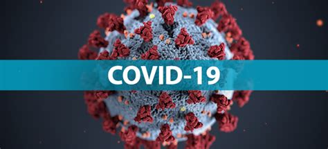 The virus is very serious, please follow the guidance of your local authorities and if you believe you may have symptoms contact them immediately. Covid-19 How Soon Could the National Capital Return To ...