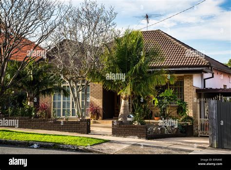 Haberfield The Garden Suburb Federation Style House Sydney