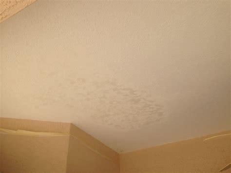 I did some more searching on removing knockdown ceiling texture and read somewhere that it's easier to just fill it with mud and sand, prime, paint. ceiling-repair-knockdown-rockledge 025