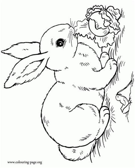 These things that technology can sometimes impede in children, with parents who are. Get This Rabbit Coloring Pages Free for Kids IX63T