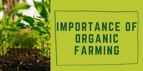 Importance Of Organic Farming Uyir Organic Farmers Market