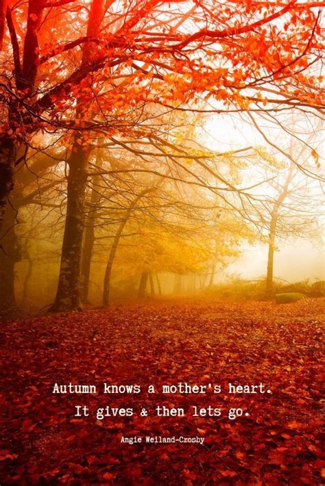 60 Autumn Quotes And Fall Quotes And Captions To Enchant And Deepen The