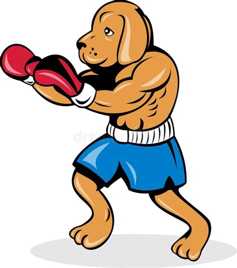 Boxer Dog Boxing Gloves Stock Illustration Illustration Of Boxer