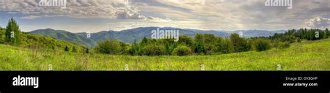 Spring Mountain Landscape Green Meadow And Forested Hills In A