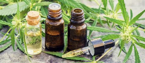 Australia's largest resource of cannabidiol (cbd) information. Where To Buy CBD Oil in Australia? Prescription vs Online ...