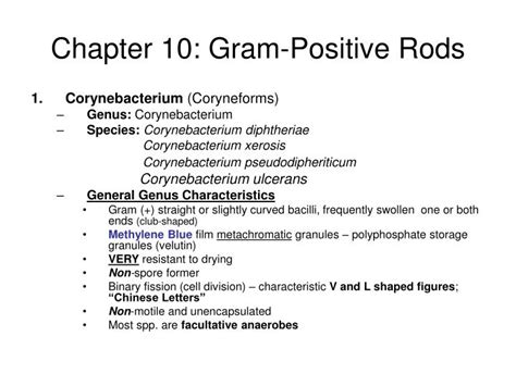 Ppt Chapter 10 Gram Positive Rods Powerpoint Presentation Free