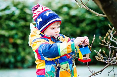 Little Kid Boy Hanging Bird House On Tree For Feeding In Winter Stock