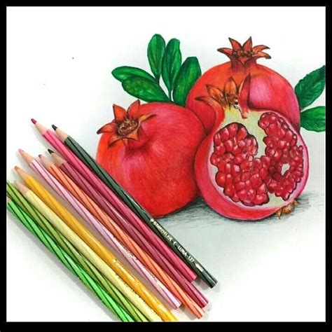 Pin By Zlata On Draw Pomegranate Drawing Pomegranate Art Realistic