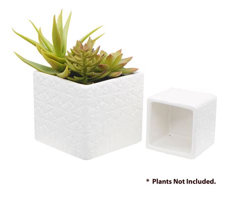 Admired By Nature Square White Ceramic Planters Set Of 2