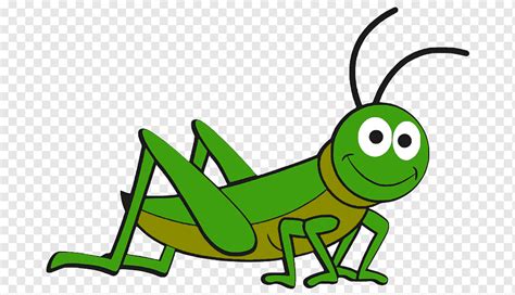 Insect Cartoon Animal Insect Animals Grass Fauna Png Pngwing