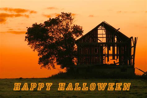 Halloween Barn Photograph By Michael Peychich