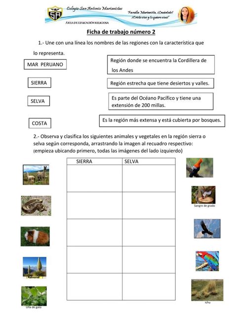 Las Regiones Naturales Del Per Ficha Interactiva Fichas De Trabajo Experimentos