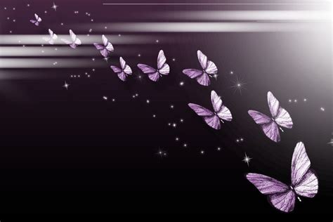 Black Butterfly Background ·① Wallpapertag