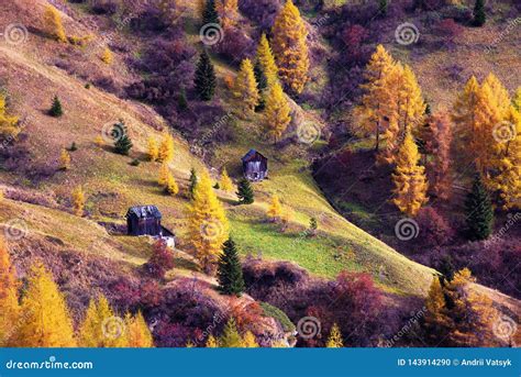 Mystic Magical Beautiful Breathtaking Scenic Autumn Landscape In The