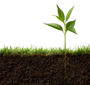 We did not find results for: Half-Term Science | Bishop Challoner Catholic Secondary School