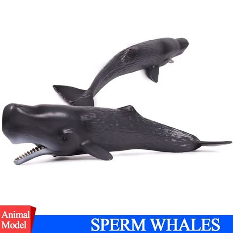 Actionandtoys Figure Ocean Marine World Biological Animal Pvc Sperm Whale