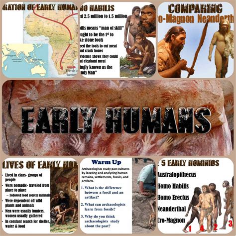 Early Humans And Hominids Powerpoint Early Humans Early Humans