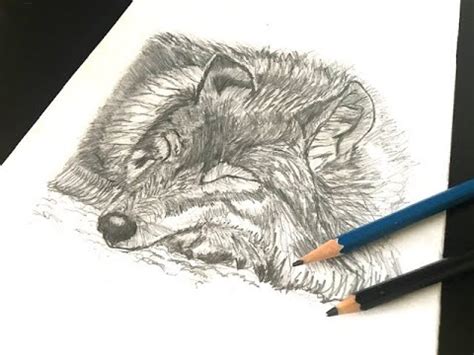 Dog paws can be fun to draw and can add detailing to your composition, such as paws from a dog walking away or a paws left behind from a dog that was you can try to add dog paws to a drawing that you have already worked on, making it seem like a dog had just visited. How to draw a sleeping dog | realistic pencil drawing ...