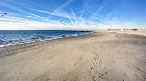 The 5 Best Beaches In New York A Z Animals