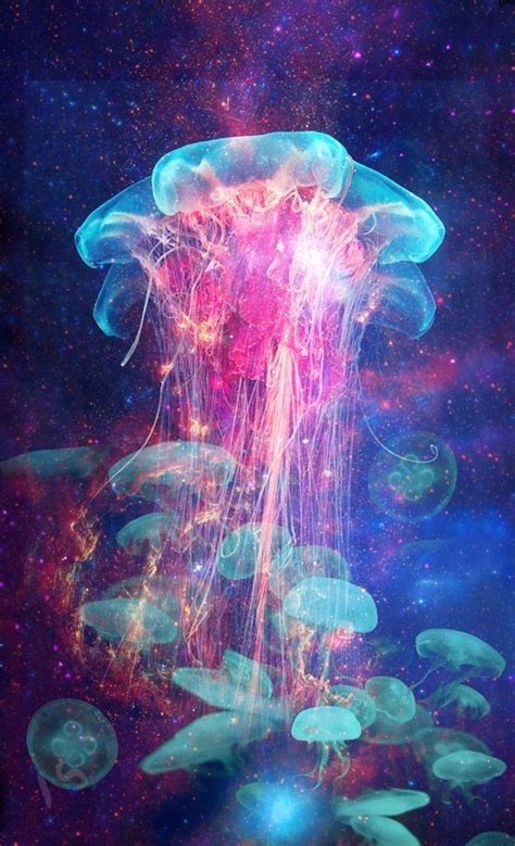 A Photographic Insight Into The World Of Jellyfish Beautiful Sea