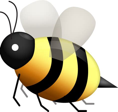Bee Png Transparent Image Download Size 640x605px