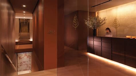 dimly lit spa reception area with dark wood panel walls woman at desk spa interior spa