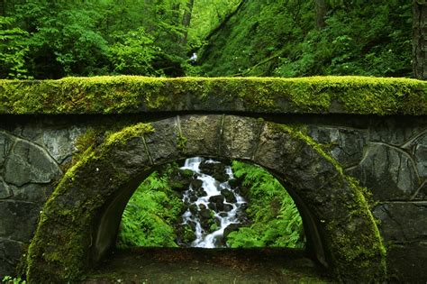 Green Moss Stones Bridge Stream Arch Forest Wet Rocks Hd Wallpaper