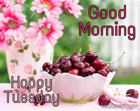 Good Morning Happy Tuesday Images HD Wishes Best Status Pics