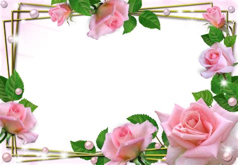 Beautiful Pink Roses Photo Frame Frames Png Aniversario Molduras