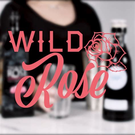 Wild Rose Tequila Rose In 2021 Tequila Rose Wild Roses Rose