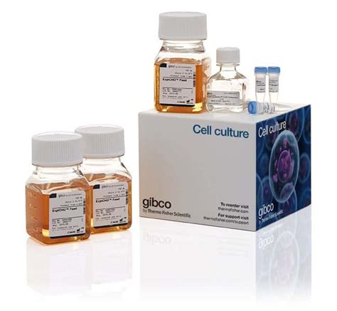 Gibco Expifectamine Cho Transfection Kit Sufficient To Transfect L Of