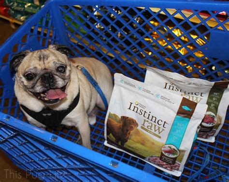 What kinds of cat food does nature's variety instinct offer? Convenient Raw Feeding with #InstinctRaw - This Pug Life