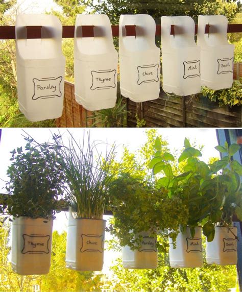 Indoor Bottle Herb Garden From Recycled Milk Bottles