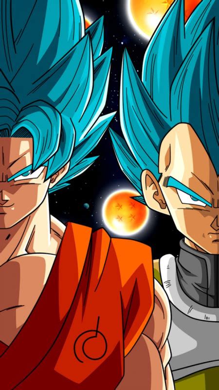 Dragon Ball Z Goku And Vegeta Super Saiyan God Background Wallpapers