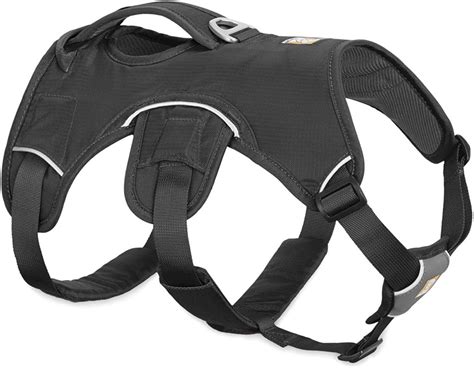10 Best Dachshund Harnesses Reviews 2020