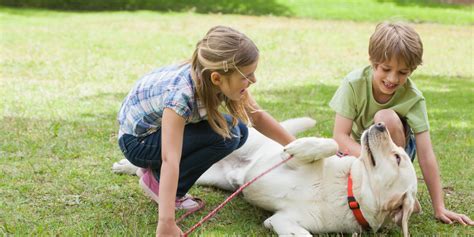 ✉️ dm for paid promotions. Five Worst Pets For Children | HuffPost UK