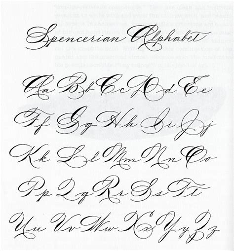 Calligraphy Alphabet Cursive Calligraphy Alphabet Kulturaupice