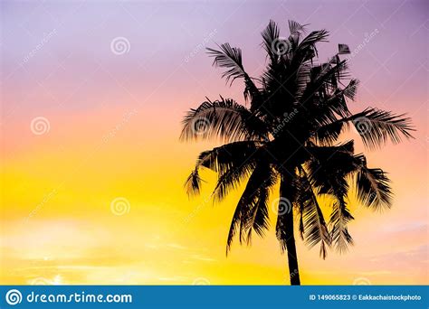 Silhouette Coconut Palm Tree Outdoors Concept On Red Blue Sky Sunset