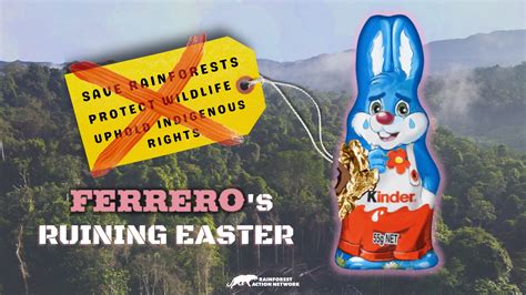 Ferrero Stop Ruining Easter For Everyone Rainforest Action Network Fighting For People And