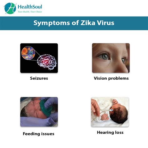 Zika Virus Symptoms And Treatment Infectious Disease HealthSoul