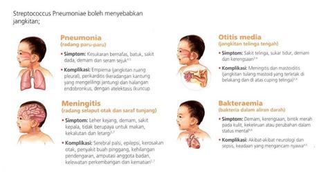 .children vaccinated is the fact that they say there is no evidence that any vaccine is related to autism or now one of the papers often cite that when commercial vaccine are checked for contaminants. 5 Perkara Papa & Mama Patut Tahu Tentang Vaksin ...