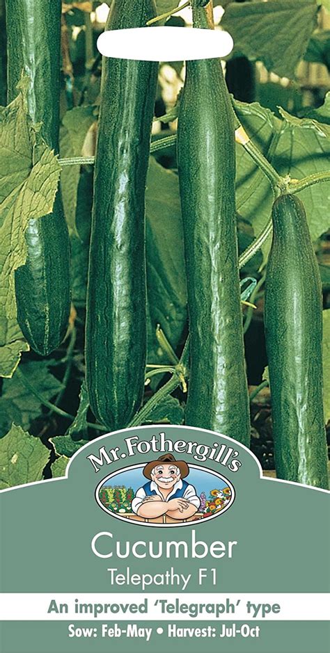Mr Fothergills Pictorial Packet Vegetable Cucumber Telepathy F1 10 Seeds Uk