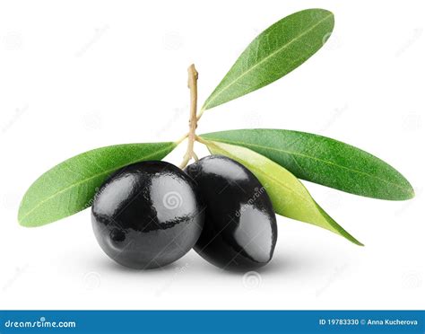 Black Olives Stock Photo Image Of Macro White Organic 19783330