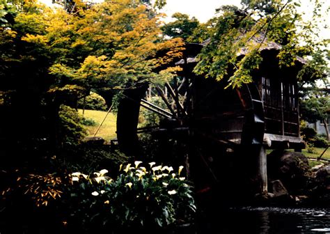 Japanese Water Wheel With Fall Colors Photograph By Glenn Aker
